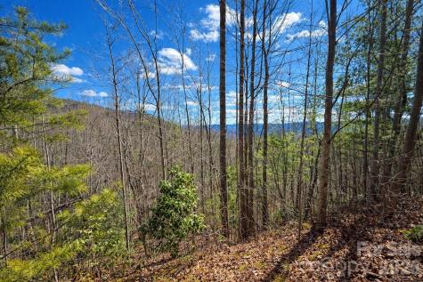 00 Mars Mountain Road Boomer NC 28606