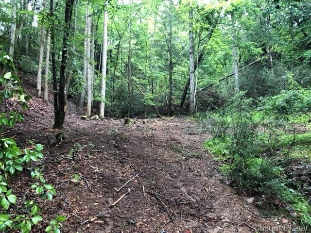 864 Deerlake Road Brevard NC 28712