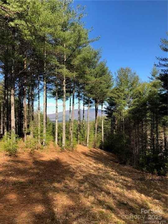 V/l Hunt Camp Drive Nebo NC 28761