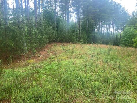 V/l Hunt Camp Drive Nebo NC 28761