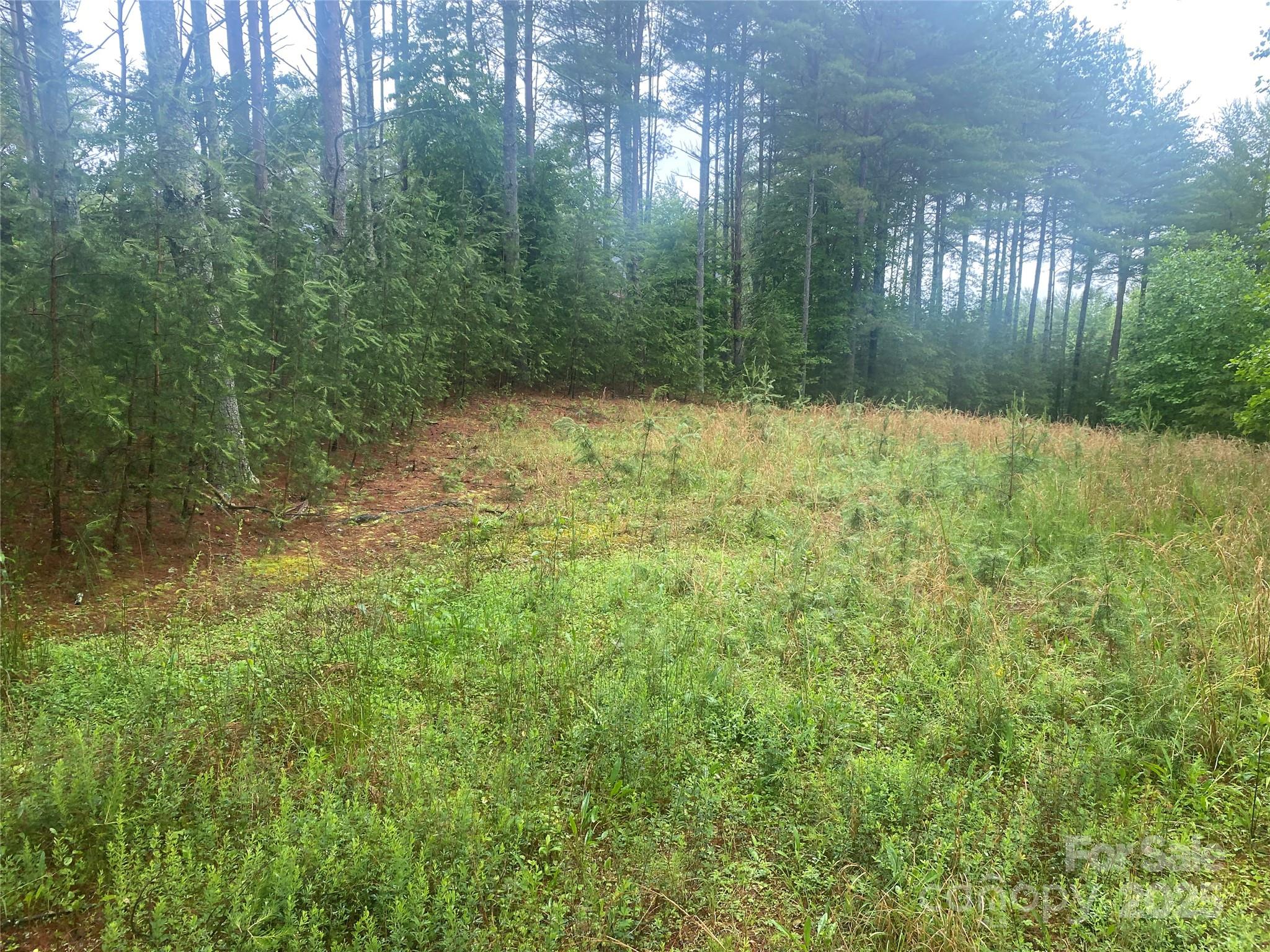 V/l Hunt Camp Drive Nebo NC 28761
