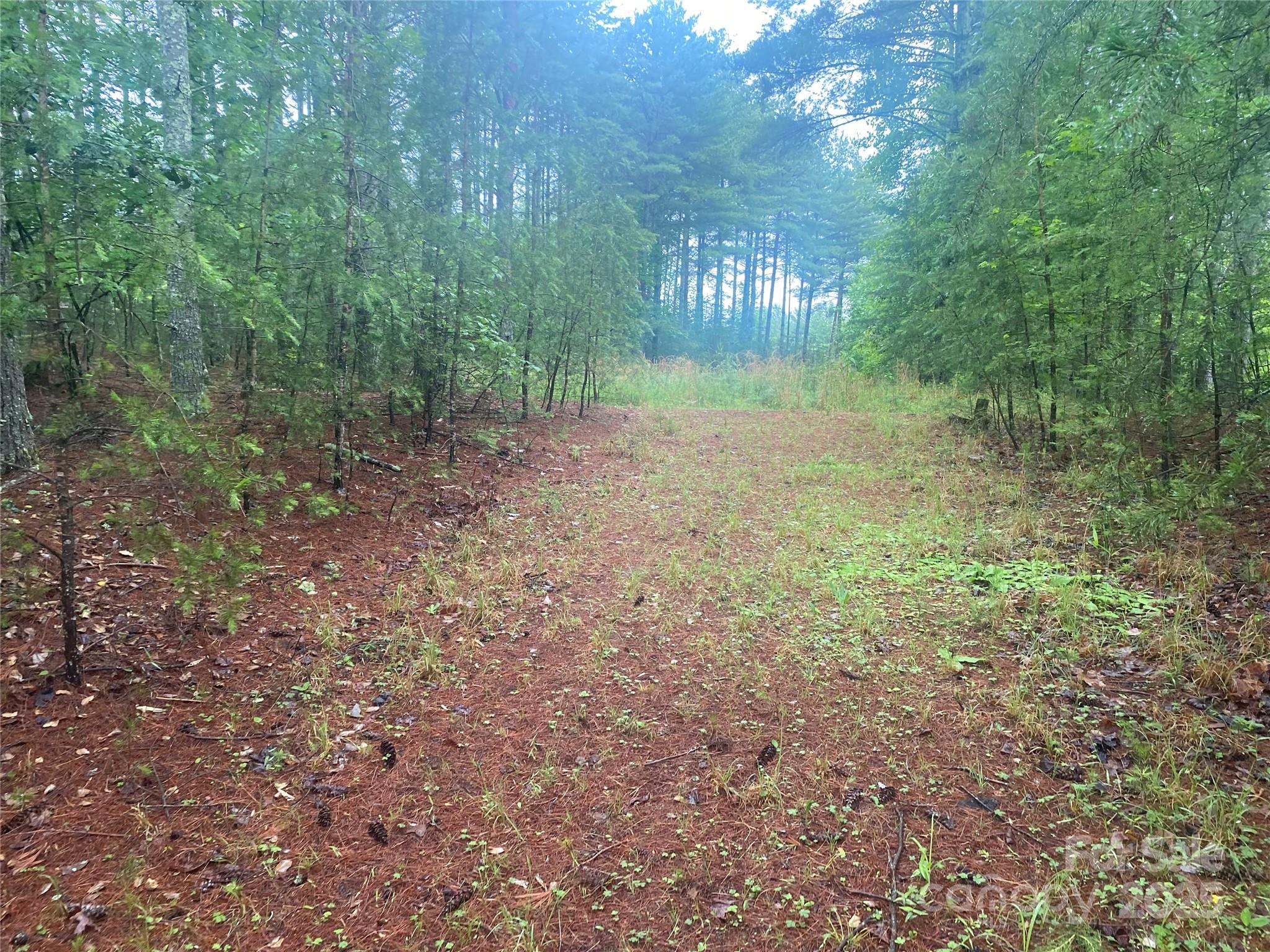 V/l Hunt Camp Drive Nebo NC 28761