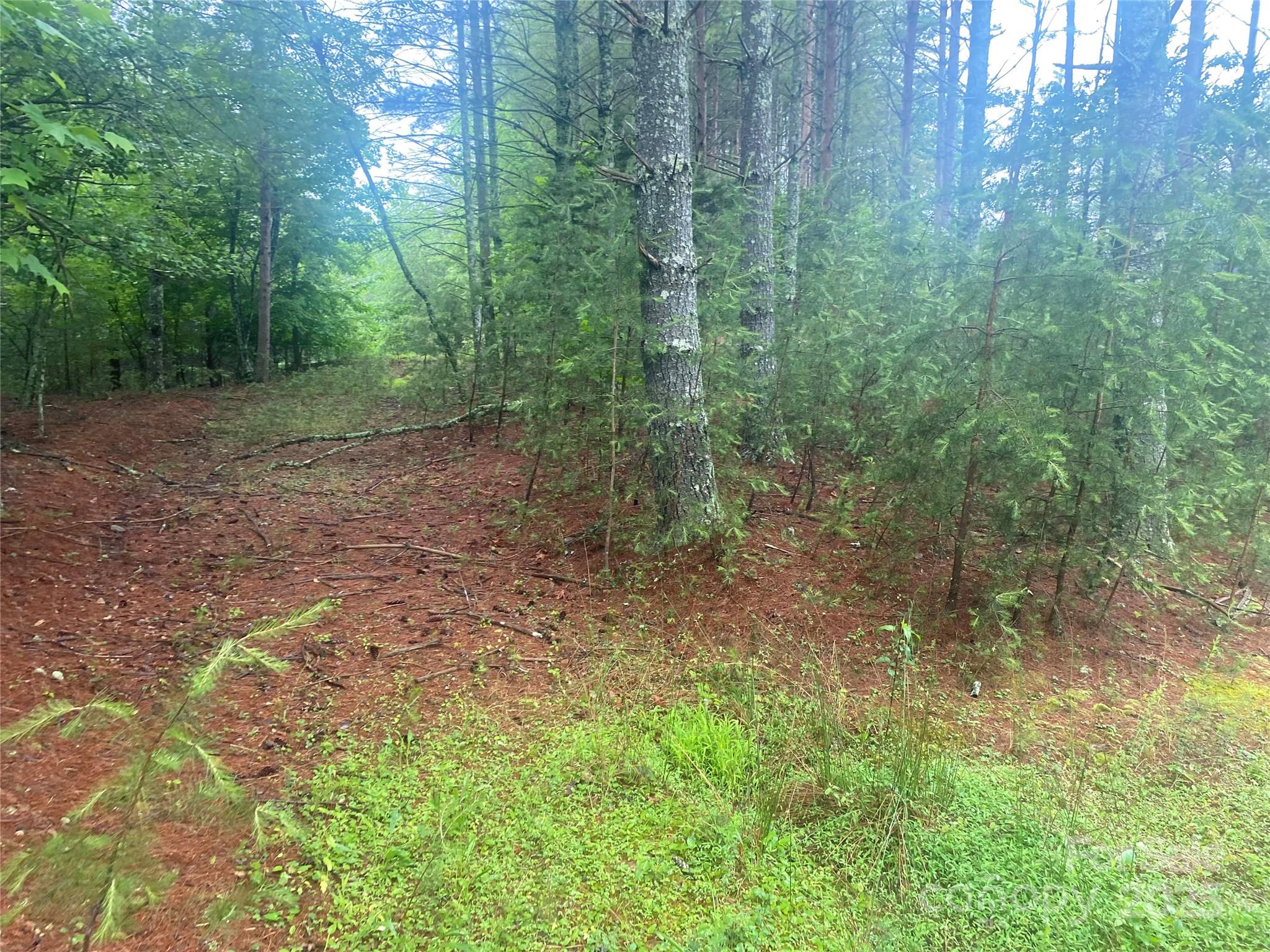 V/l Hunt Camp Drive Nebo NC 28761