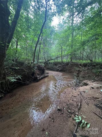 0 Clearwater Parkway Rutherfordton NC 28139
