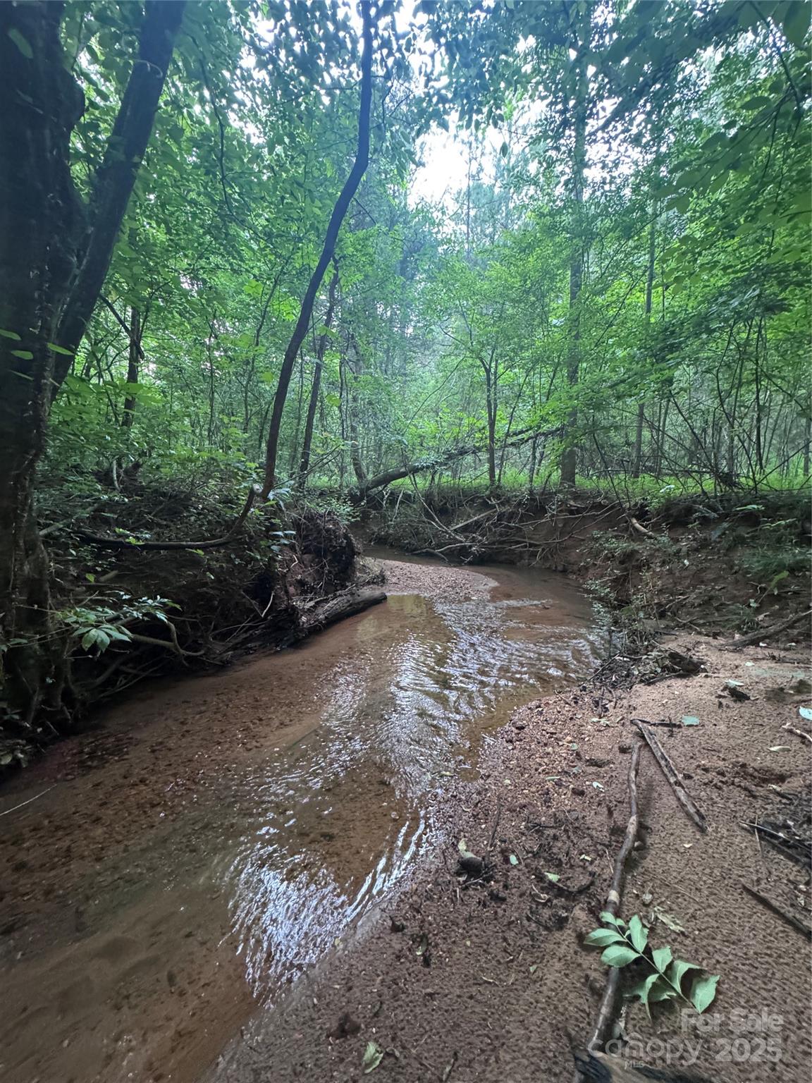 0 Clearwater Parkway Rutherfordton NC 28139