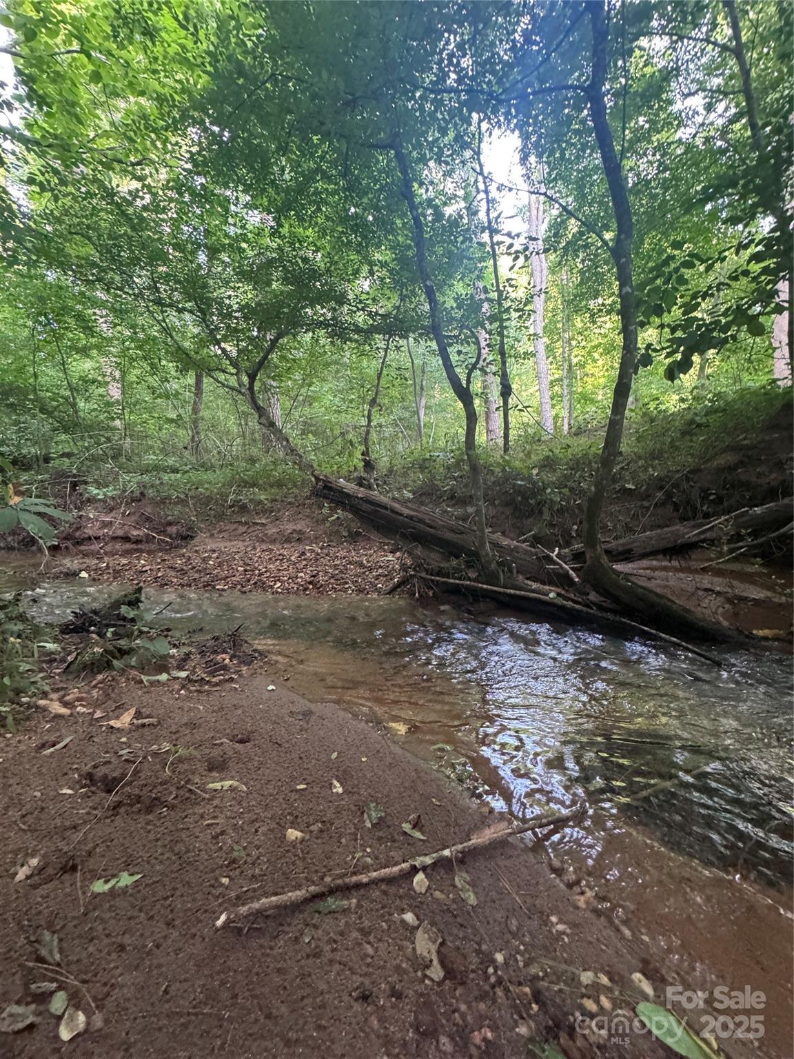 0 Clearwater Parkway Rutherfordton NC 28139