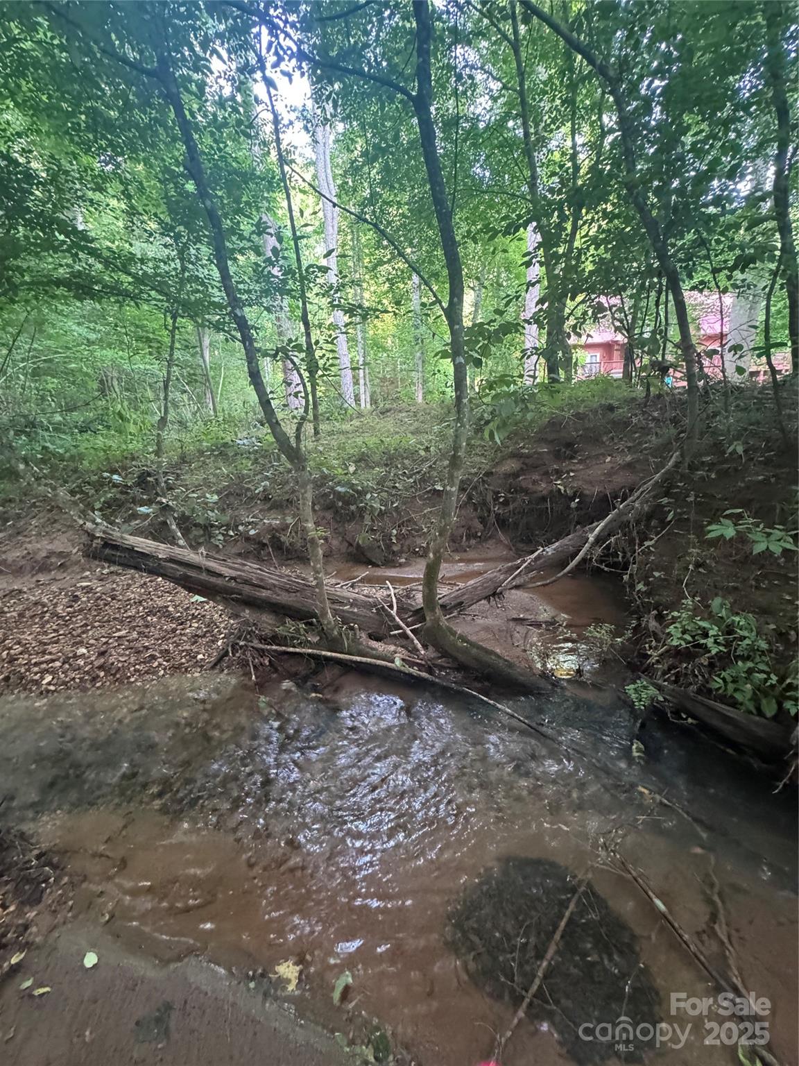 0 Clearwater Parkway Rutherfordton NC 28139