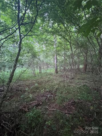 0 Clearwater Parkway Rutherfordton NC 28139