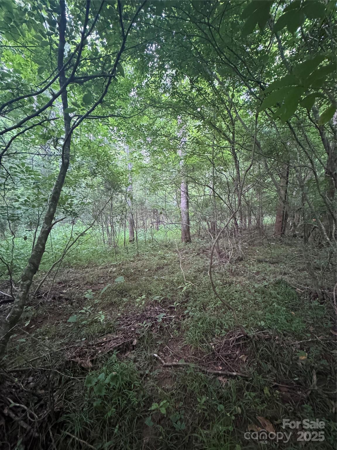 0 Clearwater Parkway Rutherfordton NC 28139