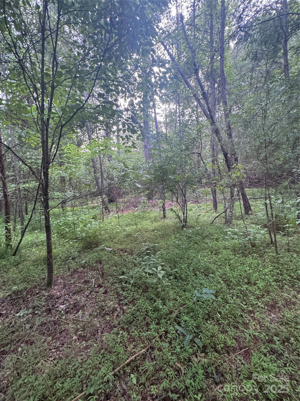 0 Clearwater Parkway Rutherfordton NC 28139