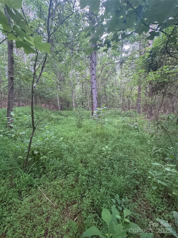 0 Clearwater Parkway Rutherfordton NC 28139