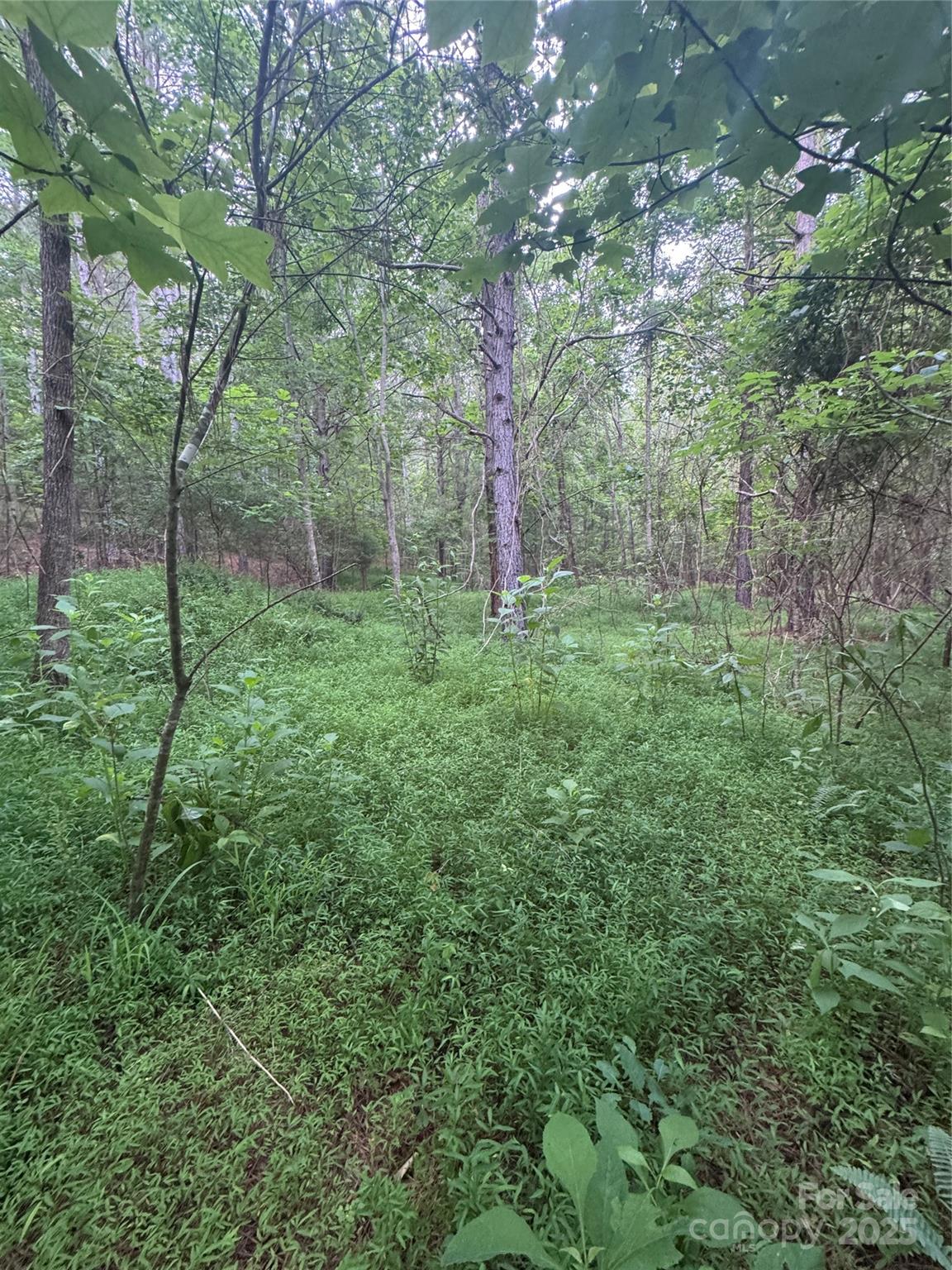 0 Clearwater Parkway Rutherfordton NC 28139