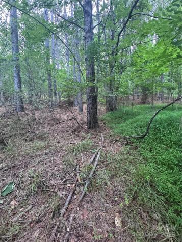 0 Clearwater Parkway Rutherfordton NC 28139