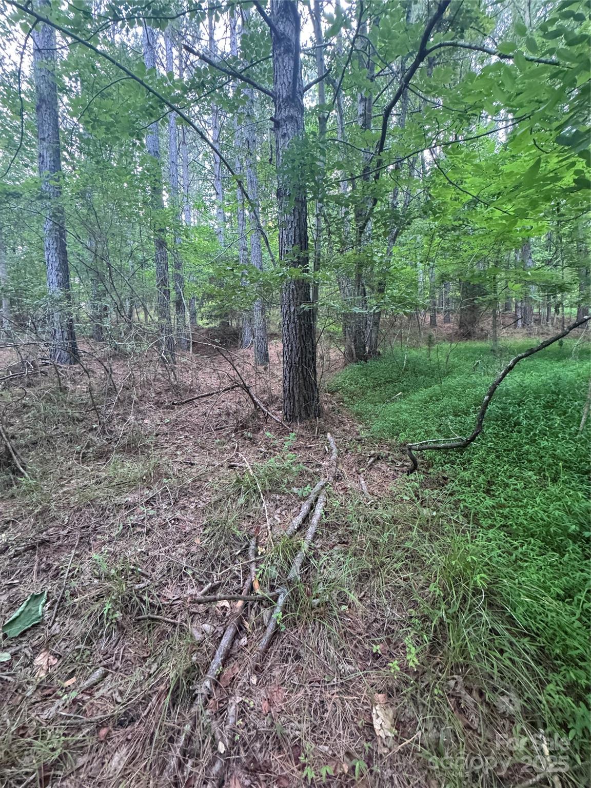 0 Clearwater Parkway Rutherfordton NC 28139