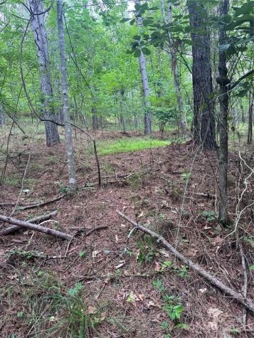 0 Clearwater Parkway Rutherfordton NC 28139