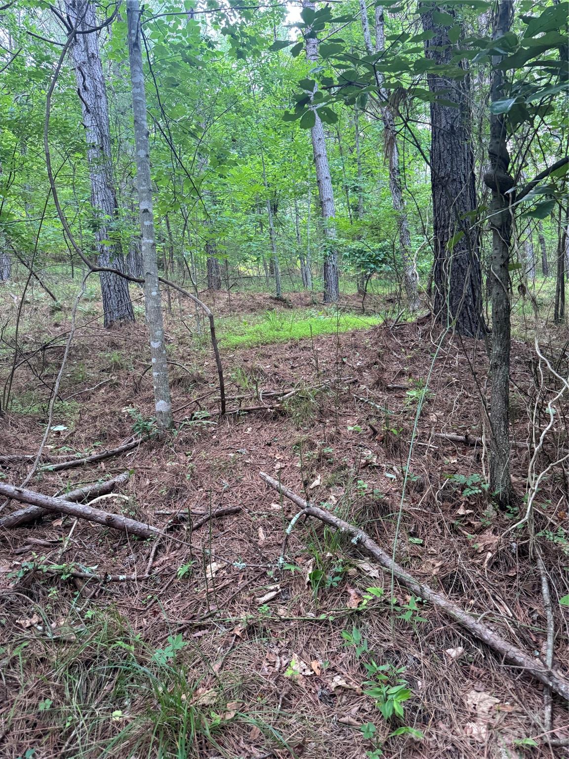 0 Clearwater Parkway Rutherfordton NC 28139