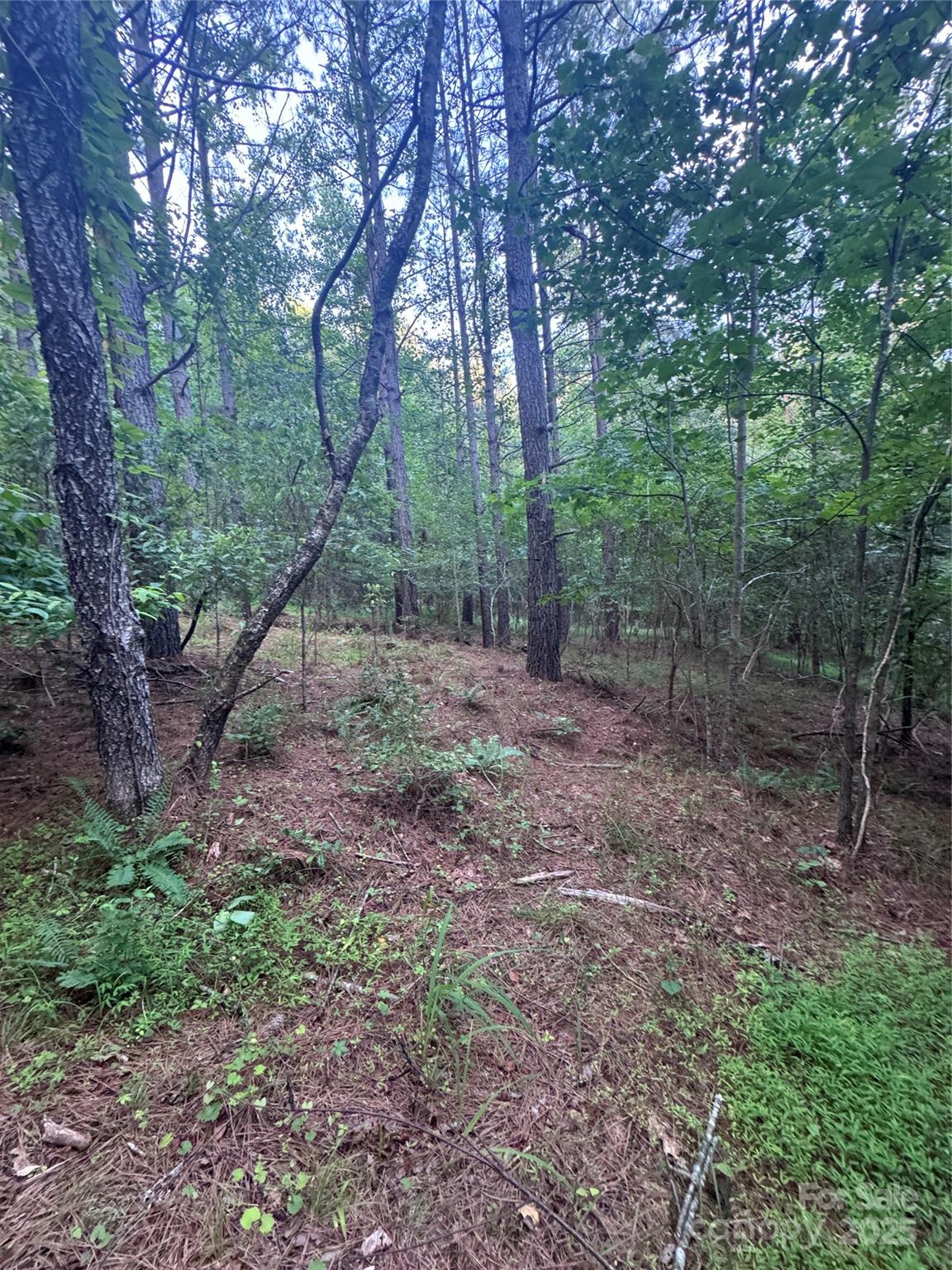 0 Clearwater Parkway Rutherfordton NC 28139