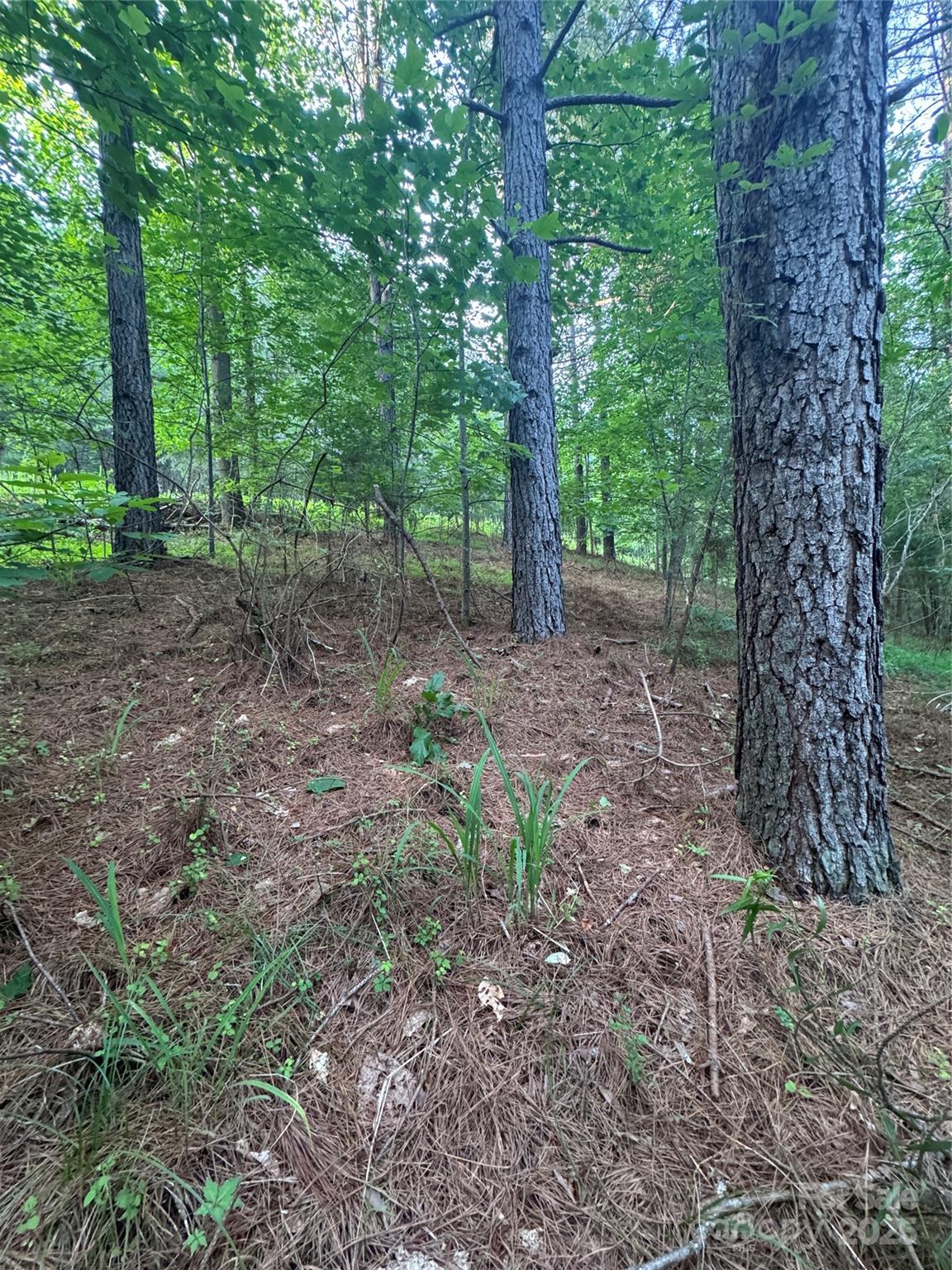 0 Clearwater Parkway Rutherfordton NC 28139