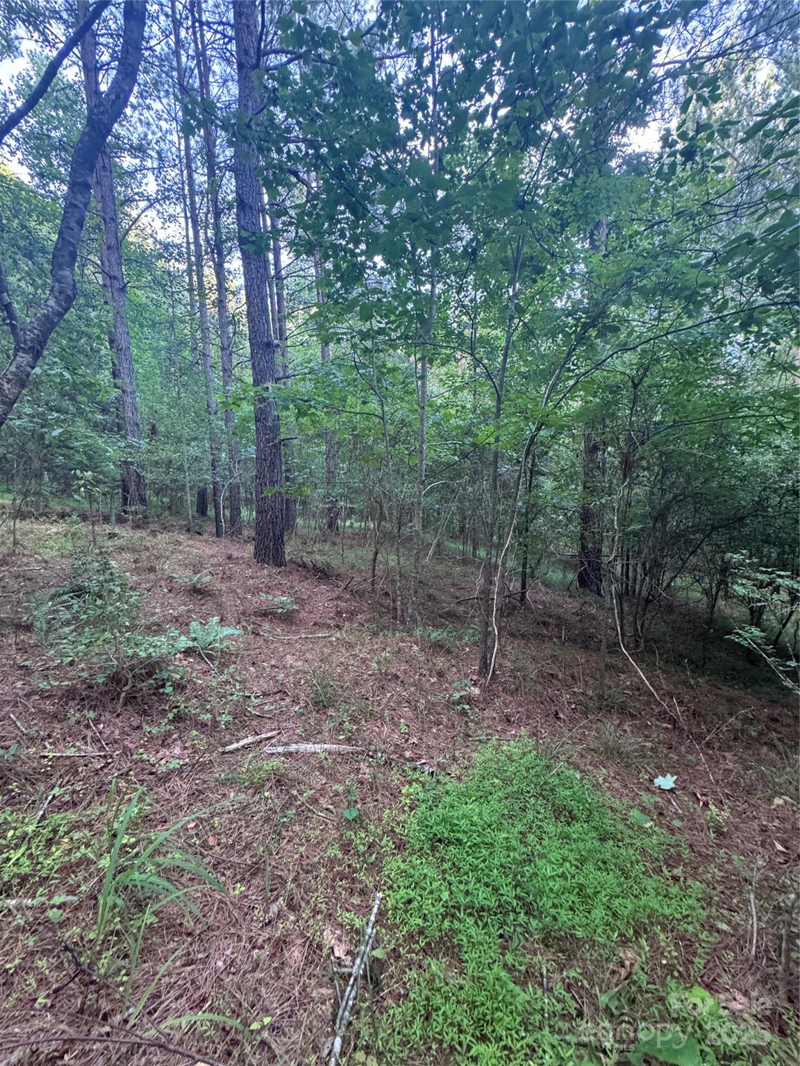0 Clearwater Parkway Rutherfordton NC 28139