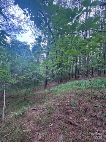 0 Clearwater Parkway Rutherfordton NC 28139