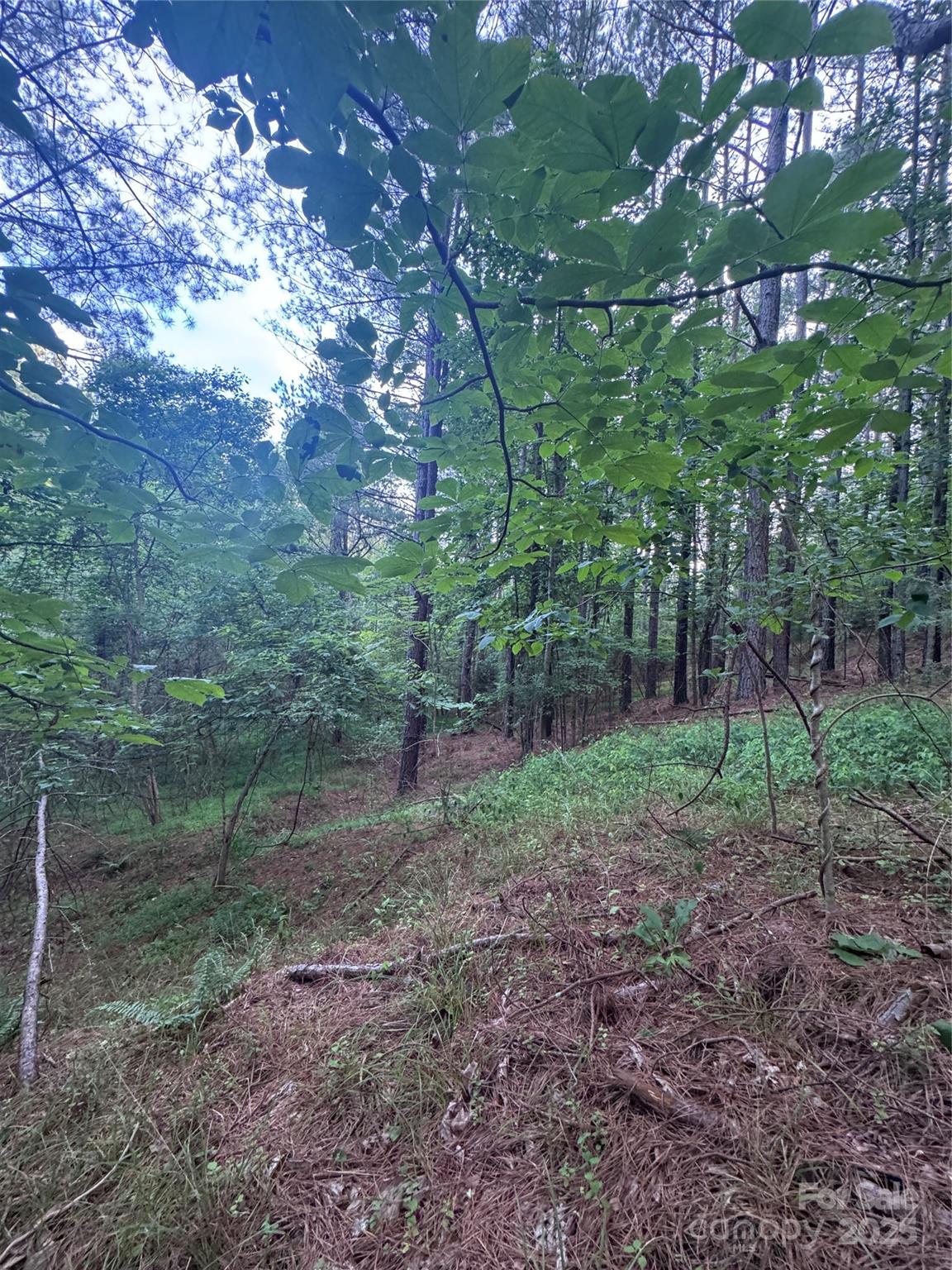 0 Clearwater Parkway Rutherfordton NC 28139