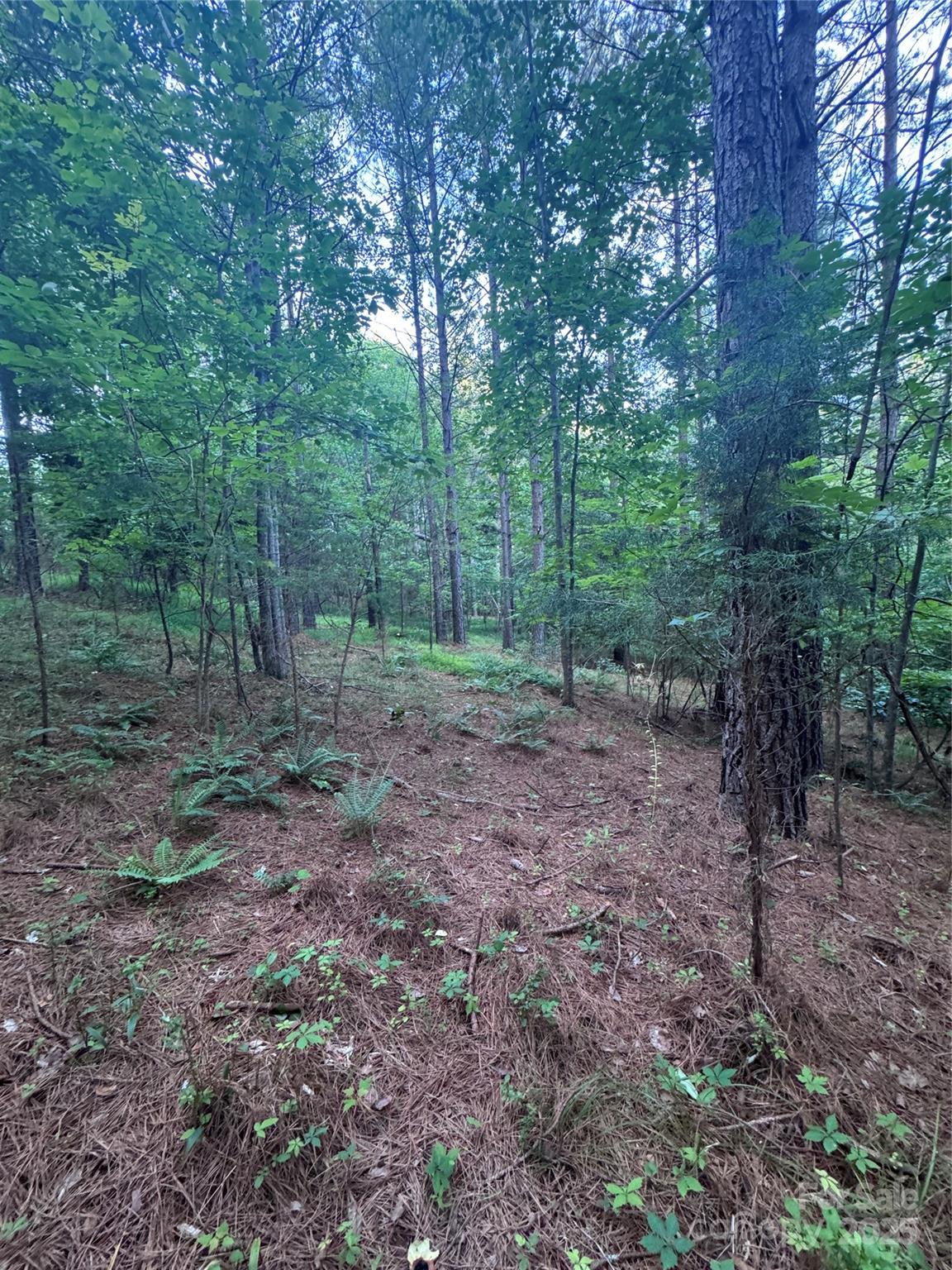 0 Clearwater Parkway Rutherfordton NC 28139