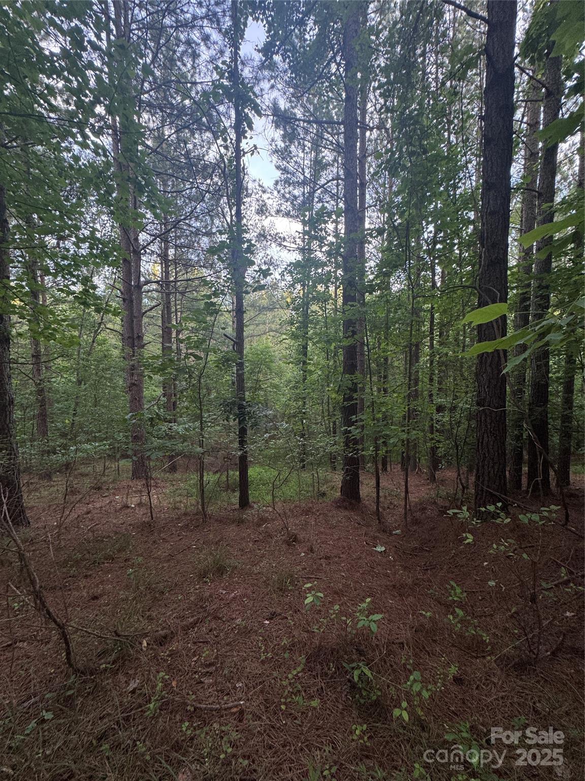 0 Clearwater Parkway Rutherfordton NC 28139