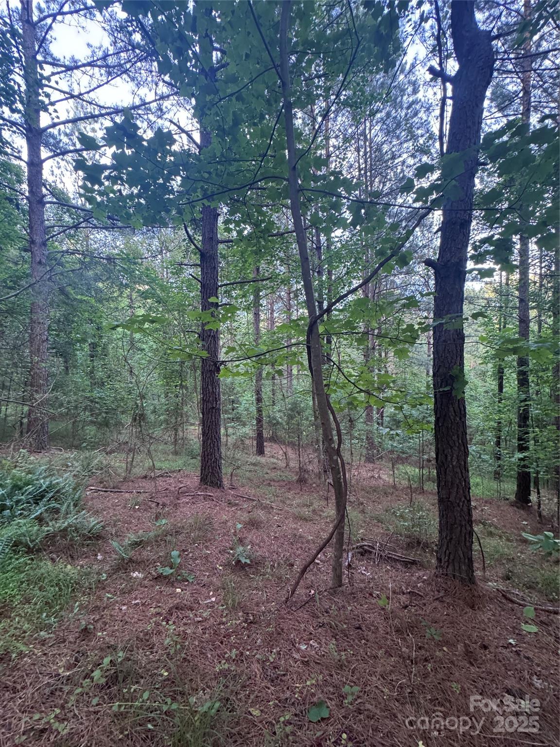 0 Clearwater Parkway Rutherfordton NC 28139
