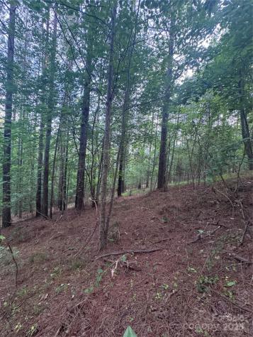 0 Clearwater Parkway Rutherfordton NC 28139