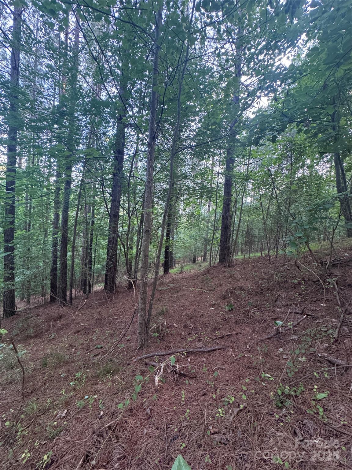 0 Clearwater Parkway Rutherfordton NC 28139