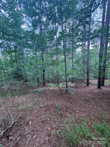 0 Clearwater Parkway Rutherfordton NC 28139