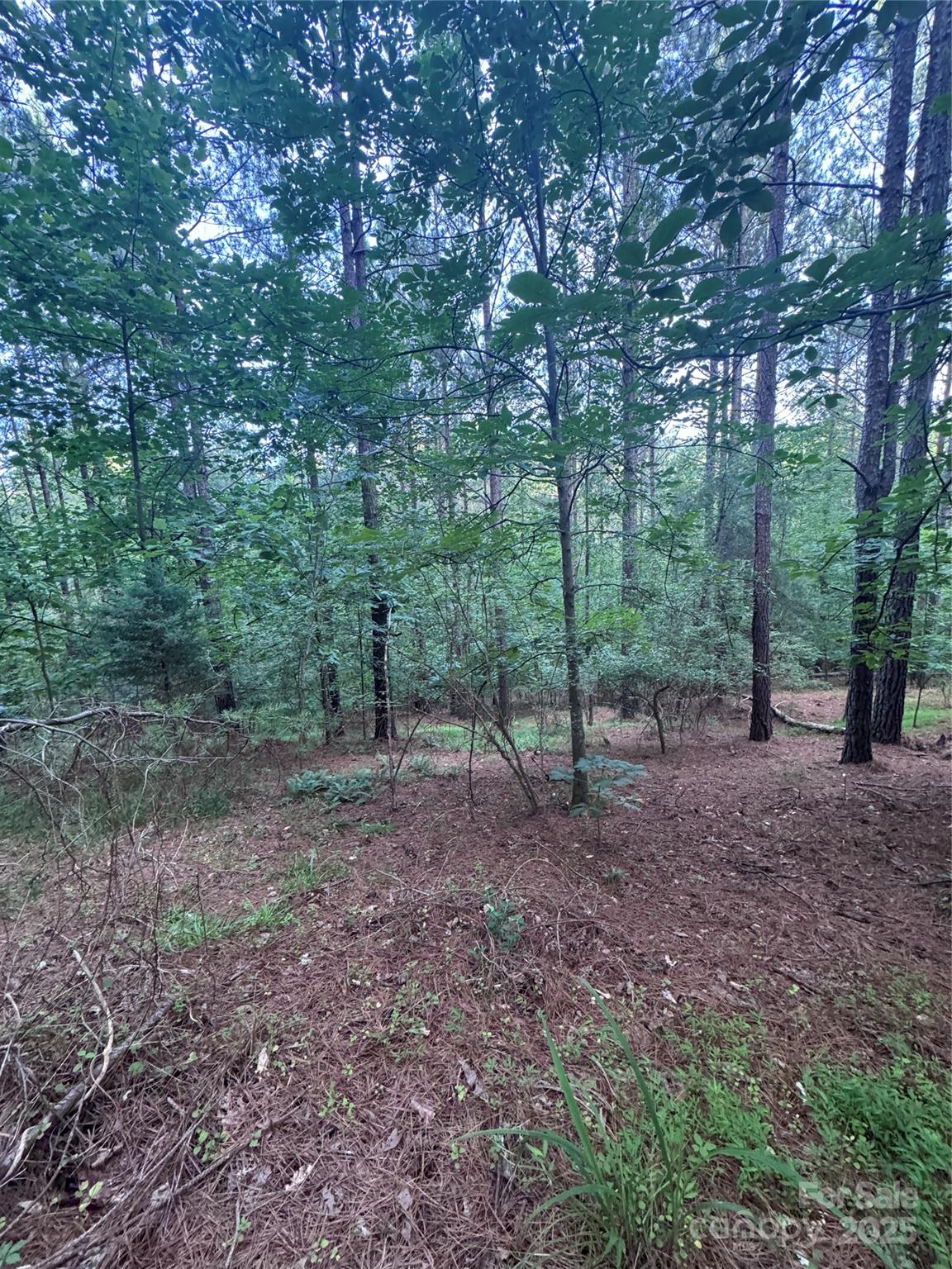 0 Clearwater Parkway Rutherfordton NC 28139