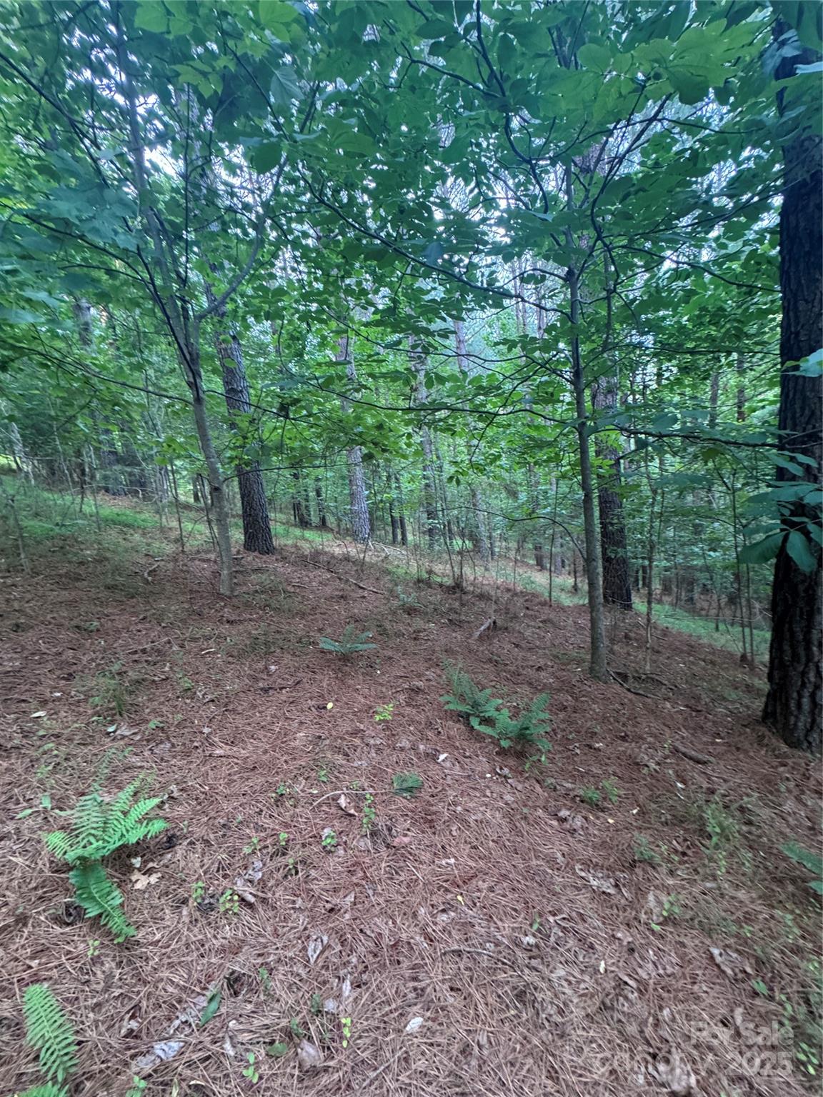 0 Clearwater Parkway Rutherfordton NC 28139