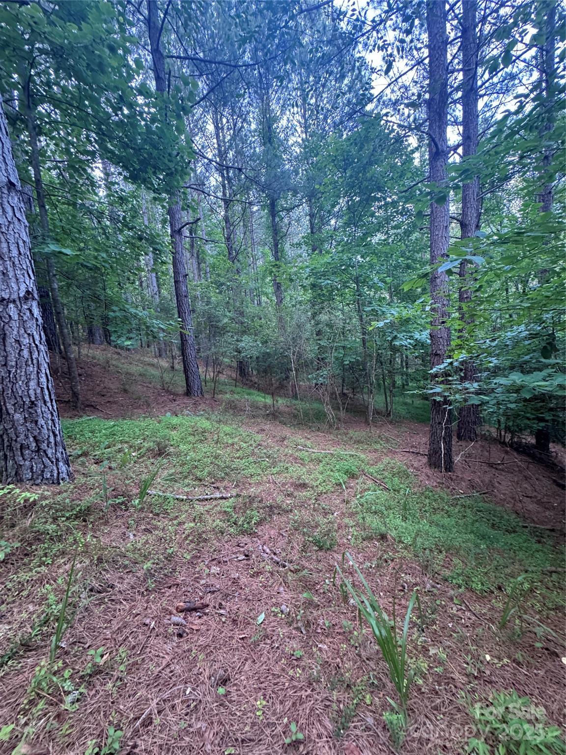0 Clearwater Parkway Rutherfordton NC 28139