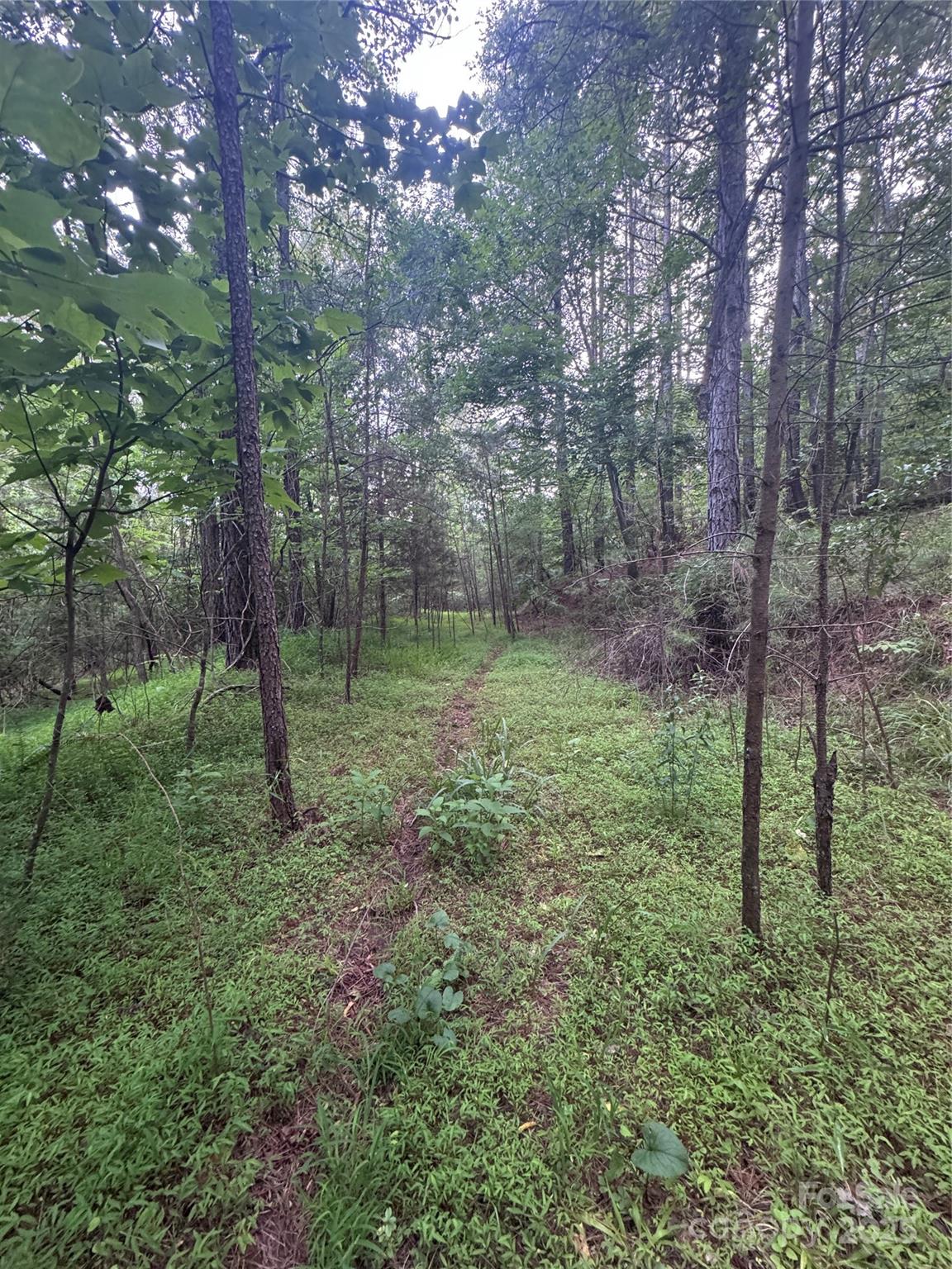 0 Clearwater Parkway Rutherfordton NC 28139