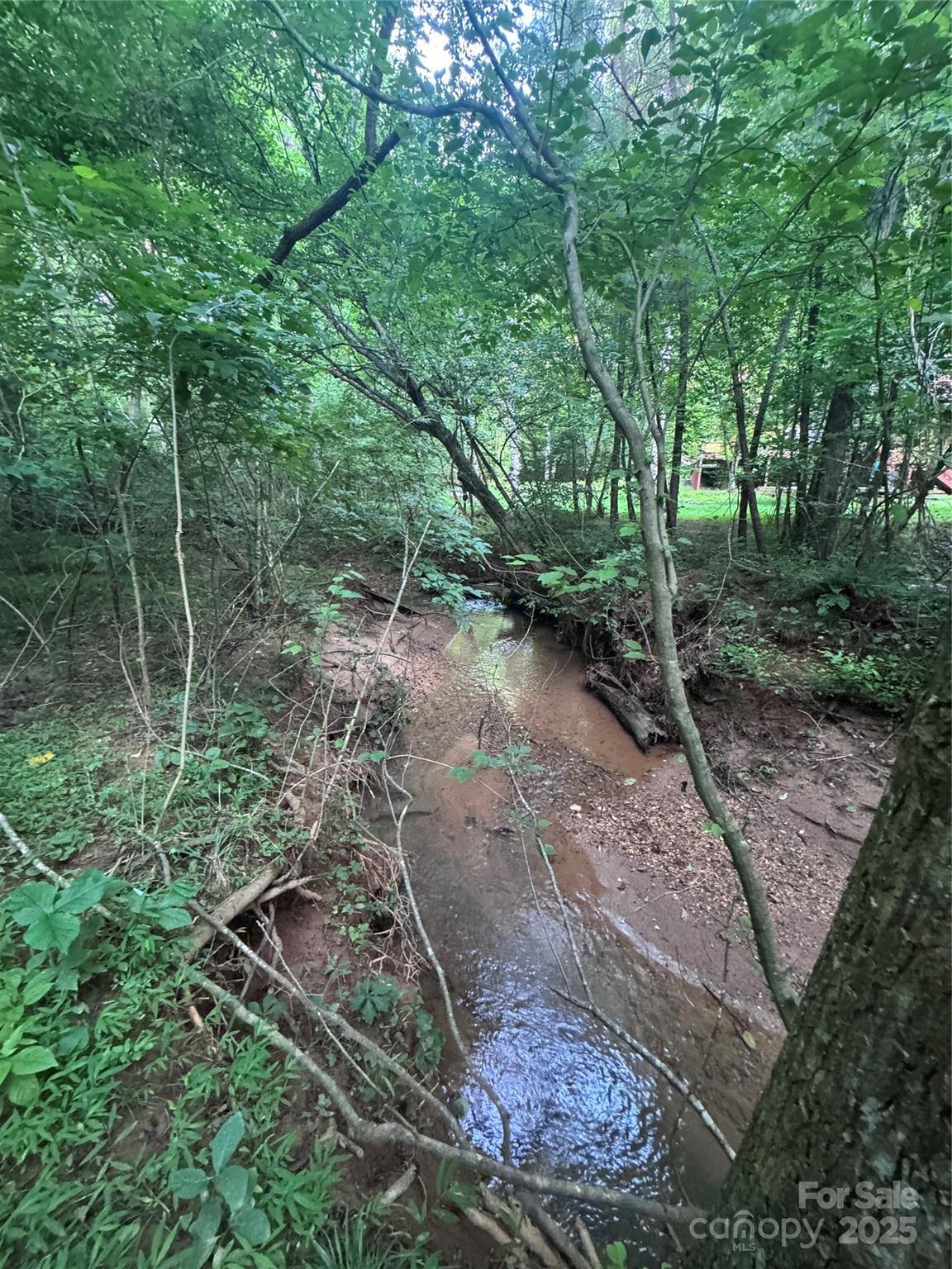 0 Clearwater Parkway Rutherfordton NC 28139