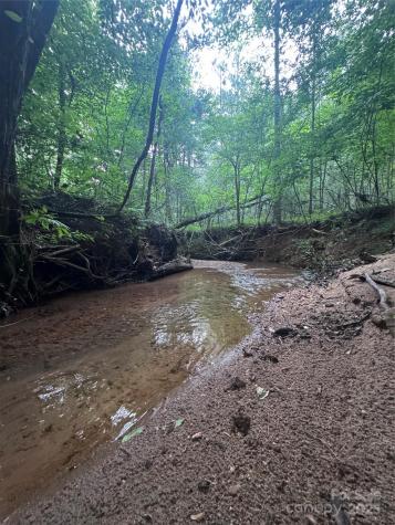 0 Clearwater Parkway Rutherfordton NC 28139