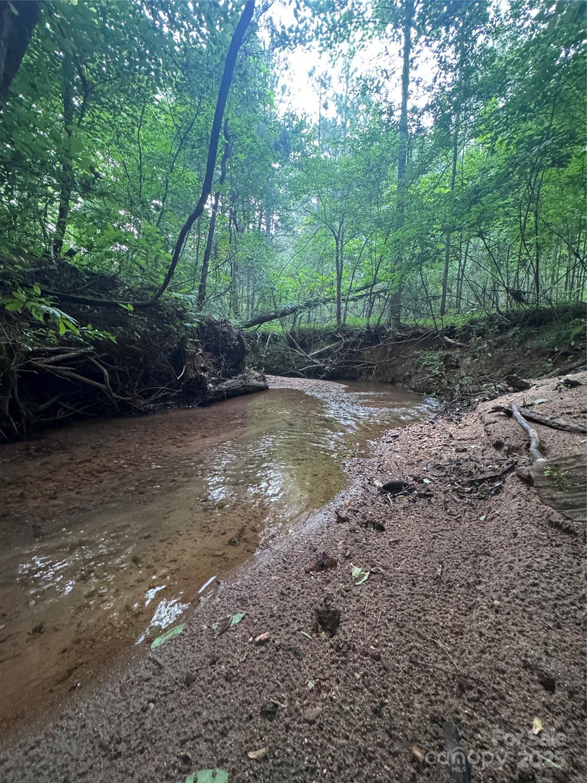 0 Clearwater Parkway Rutherfordton NC 28139