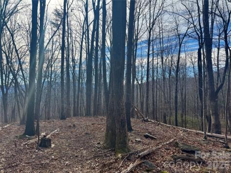 99999 Chesterfield Drive Mill Spring NC 28756