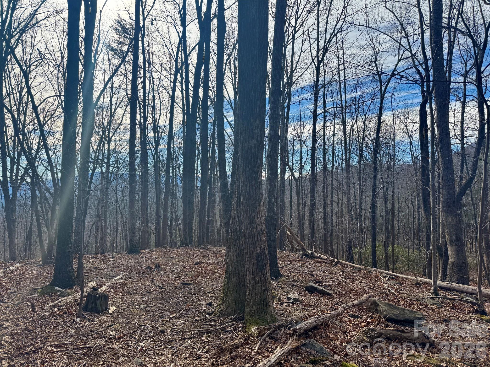 99999 Chesterfield Drive Mill Spring NC 28756