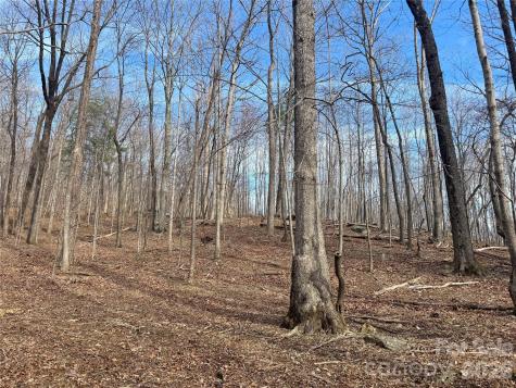 99999 Chesterfield Drive Mill Spring NC 28756