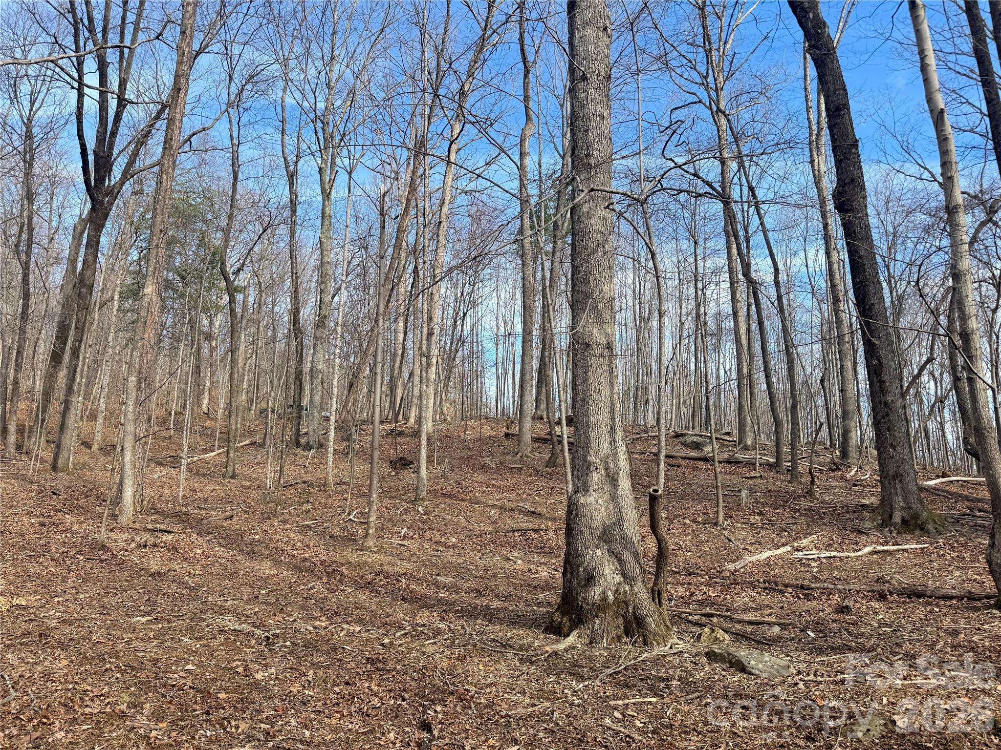 99999 Chesterfield Drive Mill Spring NC 28756
