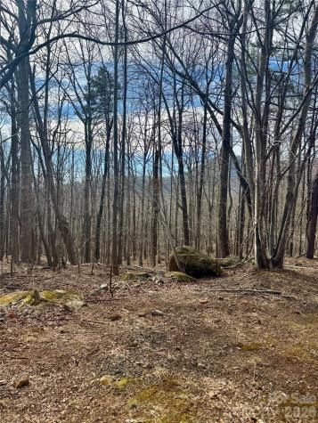 99999 Chesterfield Drive Mill Spring NC 28756