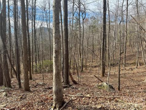 99999 Chesterfield Drive Mill Spring NC 28756