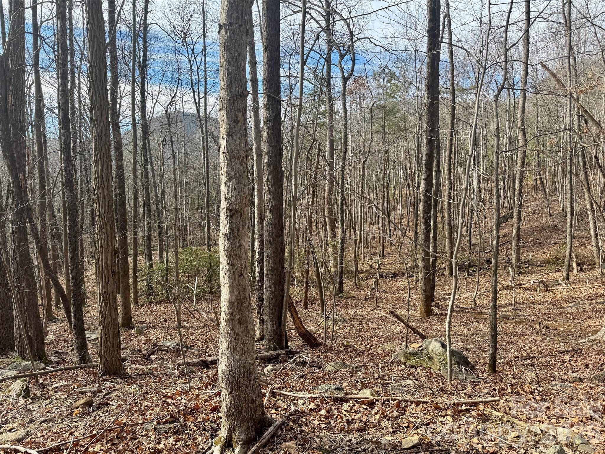 99999 Chesterfield Drive Mill Spring NC 28756