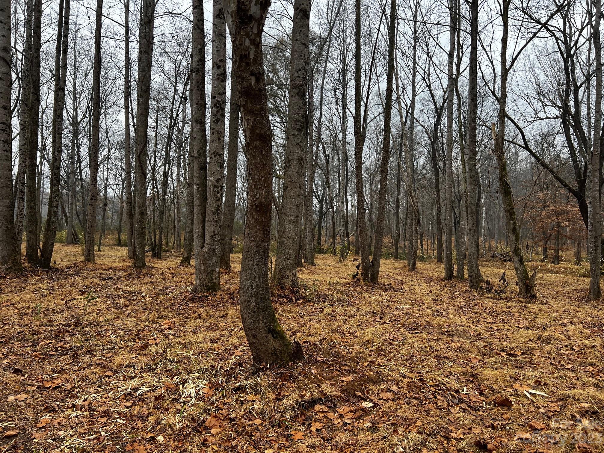 Lot 150 Lookout Dam Road Statesville NC 28625