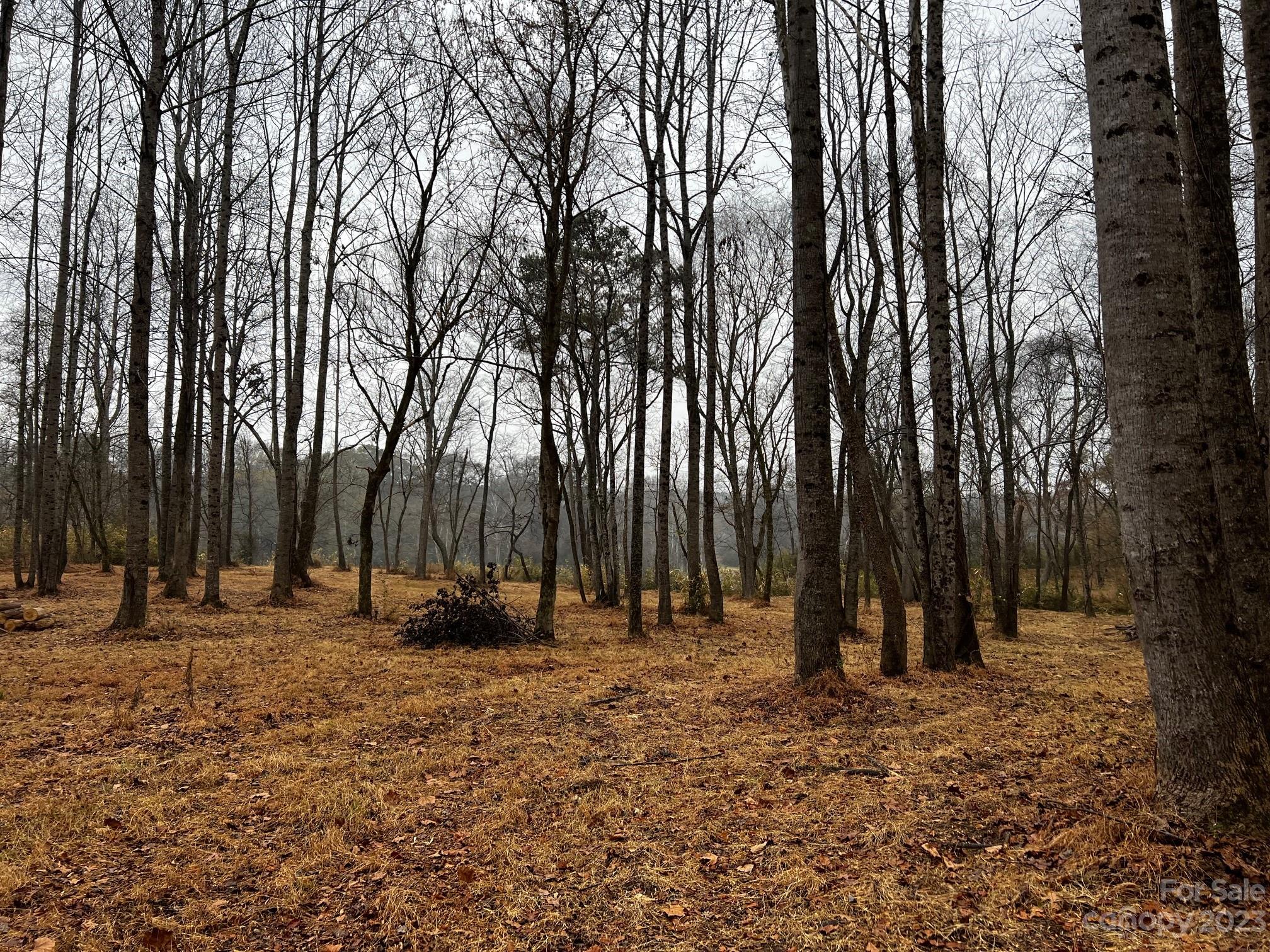 Lot 150 Lookout Dam Road Statesville NC 28625
