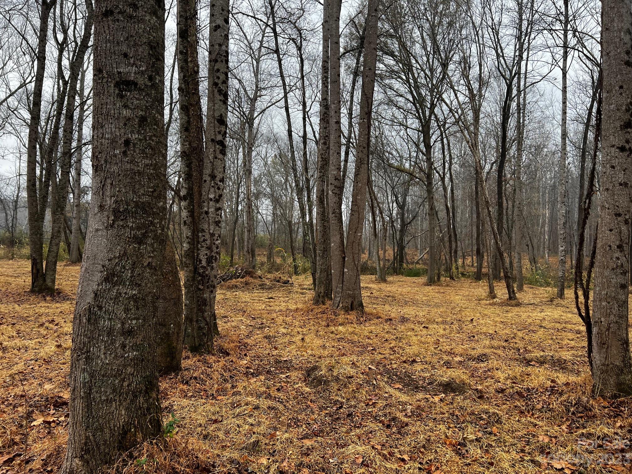 Lot 150 Lookout Dam Road Statesville NC 28625