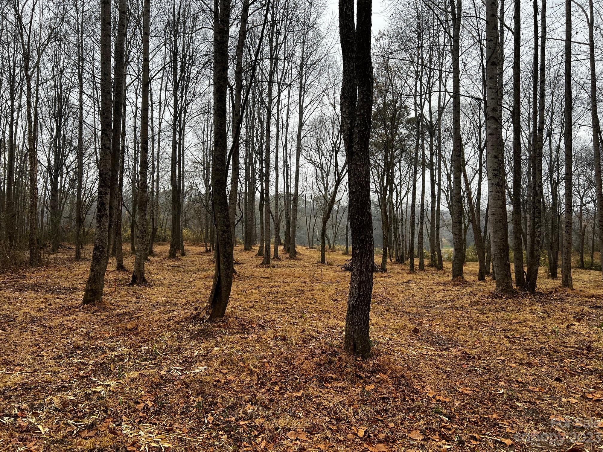 Lot 150 Lookout Dam Road Statesville NC 28625