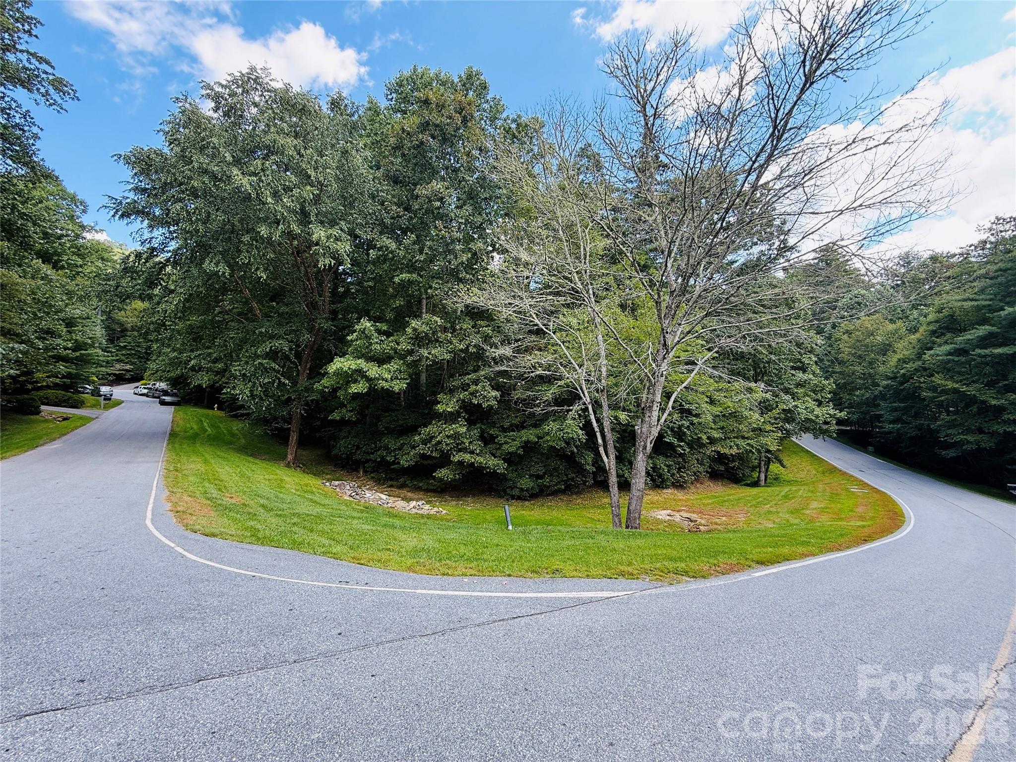 20 Prickly Briar Road Hendersonville NC 28739